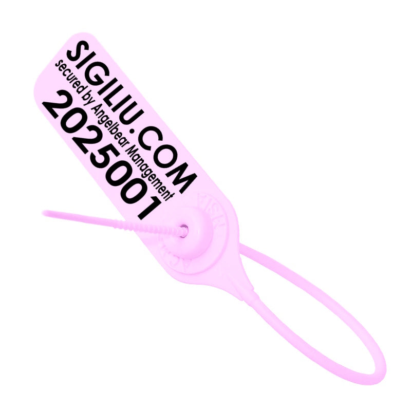 Sigiliu de plastic rapic cu insertie
